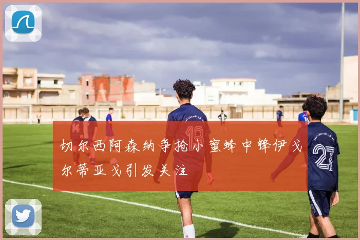 切尔西阿森纳争抢小蜜蜂中锋伊戈尔蒂亚戈引发关注