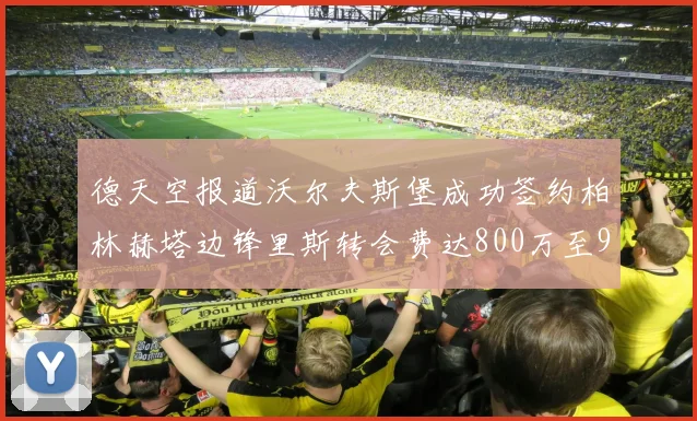 德天空报道沃尔夫斯堡成功签约柏林赫塔边锋里斯转会费达800万至900万欧元