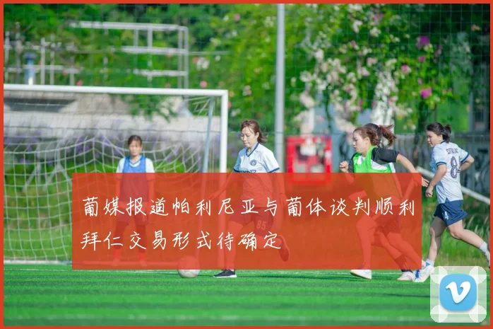 葡媒报道帕利尼亚与葡体谈判顺利拜仁交易形式待确定